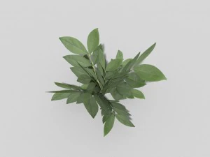 low poly plant 3D Model