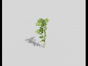 लो पॉली प्लांट 3D मॉडल