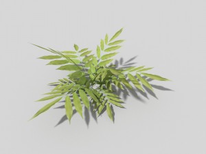 low poly plant 3D 모델
