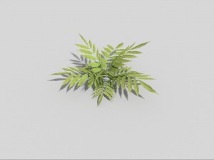 low poly plant Modèle 3D