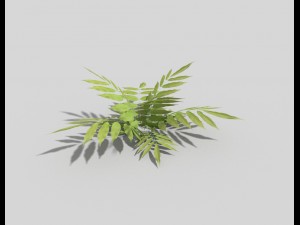 low poly plant Modèle 3D