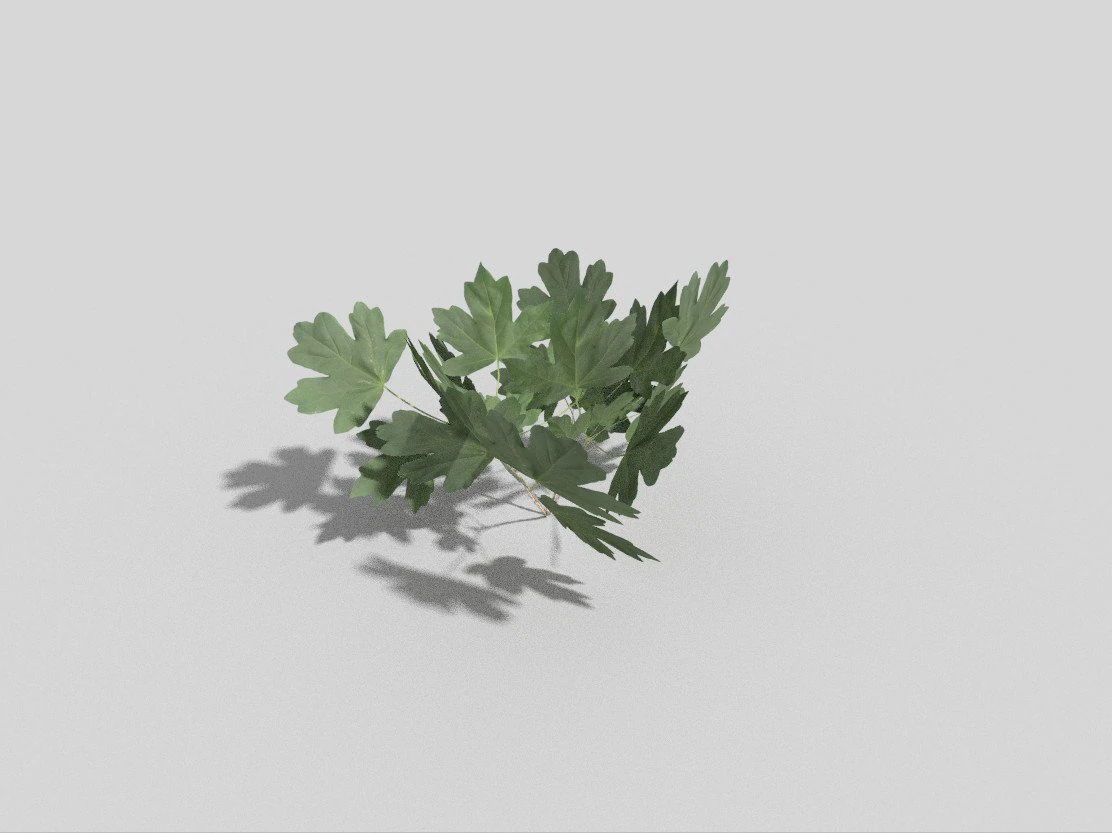 low poly plant 3D Model .c4d .max .obj .3ds .fbx .stl .blend 