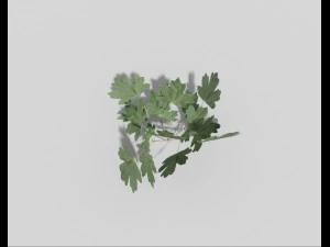 low poly plant 3D Model