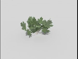 low poly plant 3D Model