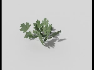 low poly plant 3D Model