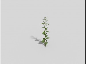 low poly plant 3D Model