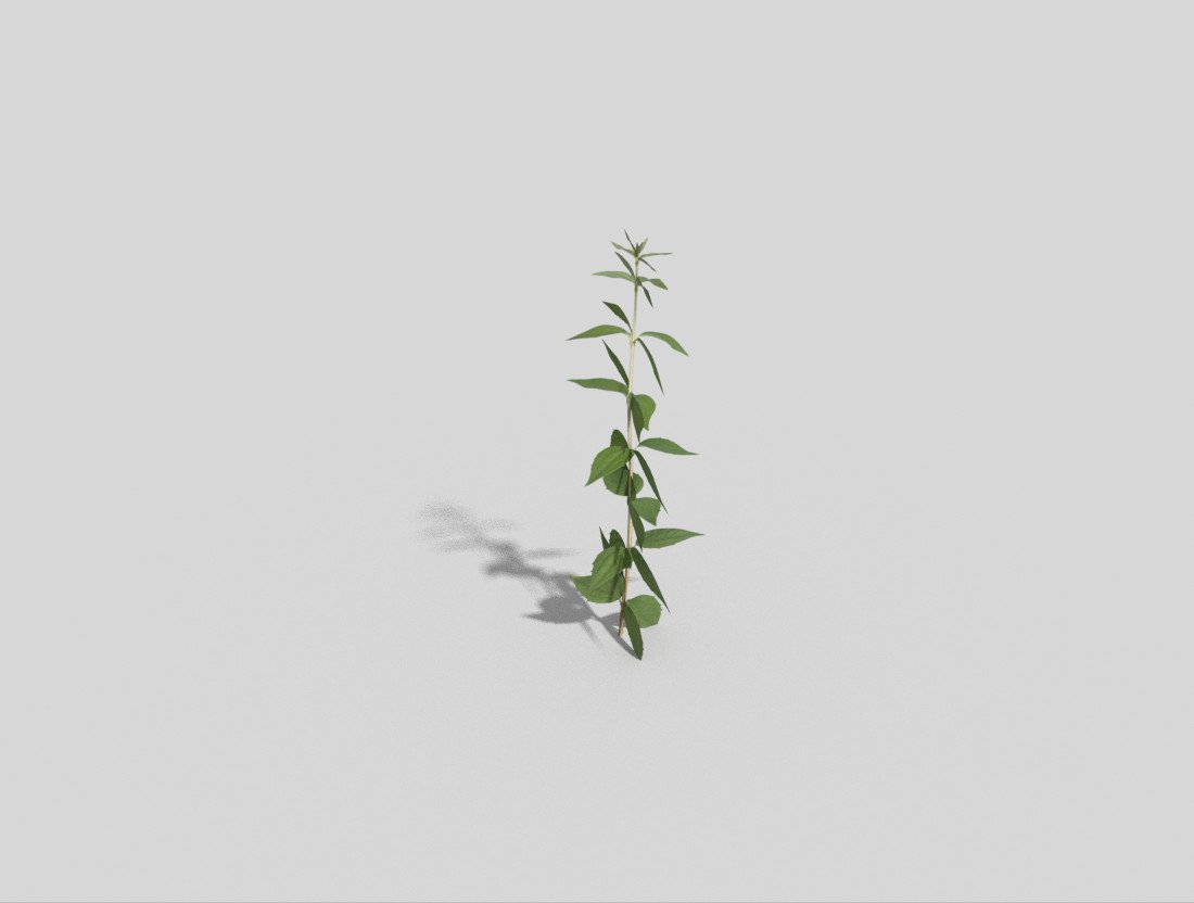 Low Poly Plant 3d Model In Bush 3dexport