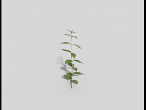 low poly plant 3D Model