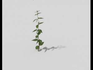 low poly plant 3D Model