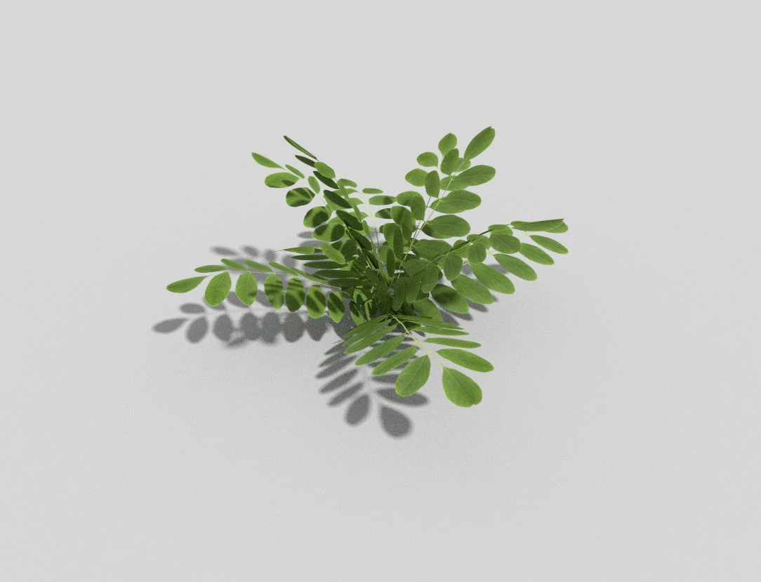 pianta a basso poli Modello 3D .c4d .max .obj .3ds .fbx .stl .blend 