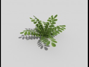 low poly plant 3D Model