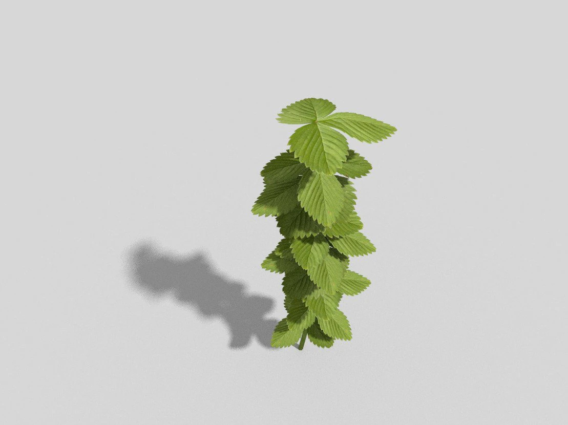 low poly plant 3D Model .c4d .max .obj .3ds .fbx .stl .blend