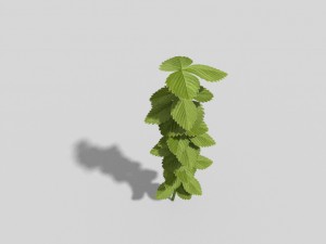 low poly plant 3D 모델