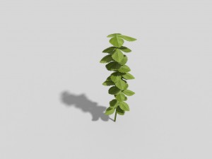 low poly plant 3D 모델