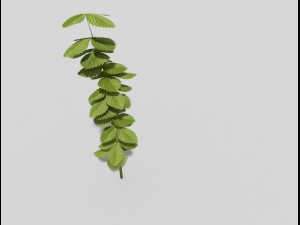 low poly plant 3D 모델
