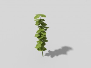 low poly plant 3D 모델