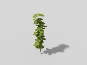low poly plant 3D Model