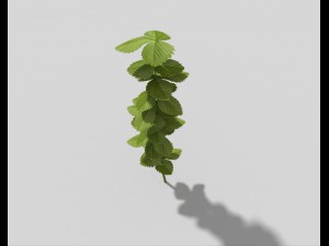 low poly plant 3D 모델