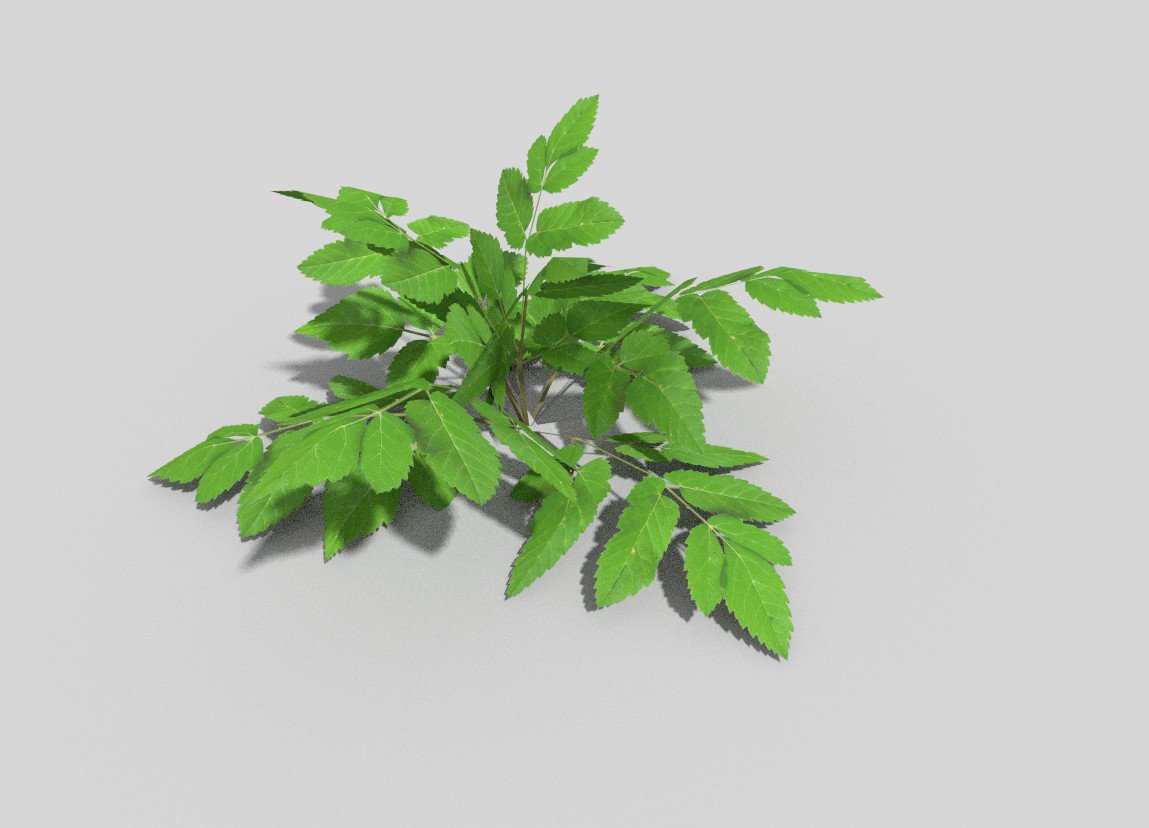 Low Poly Plant 3d Model In Grass And Ground Cover 3dexport