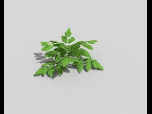 low poly plant Model 3D
