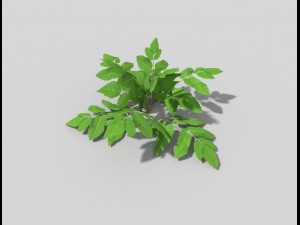 low poly plant Model 3D