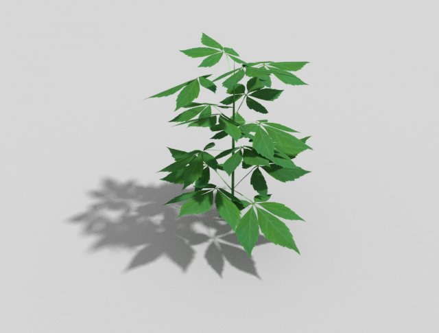 low poly plant 3Dモデル .c4d .max .obj .3ds .fbx .stl .blend 