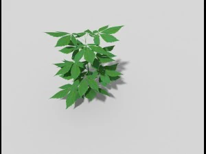 low poly plant 3D Model