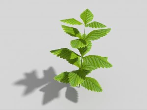 低ポリ植物 3Dモデル