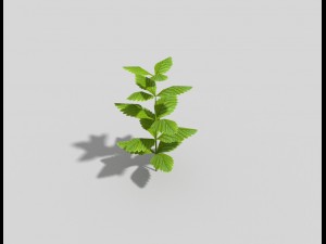 low poly plant 3Dモデル