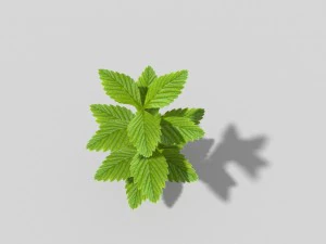 planta de baixo poli Modelo 3D