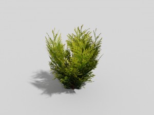 low poly shrub 3Dモデル