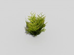 low poly shrub 3D Model