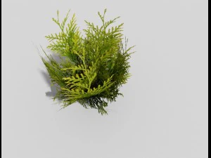 low poly shrub 3D Model