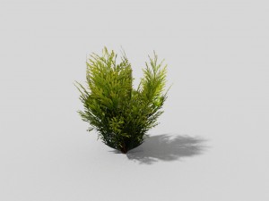 low poly shrub Modelo 3D