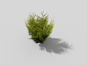 low poly shrub Modelo 3D