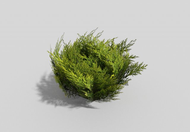 low poly shrub 3D Model .c4d .max .obj .3ds .fbx .stl .blend 