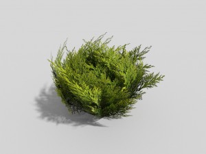 low poly shrub 3D 모델