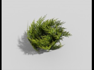 low poly shrub 3D Model