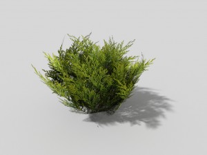 low poly shrub 3D Model