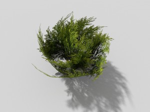 low poly shrub 3D Model