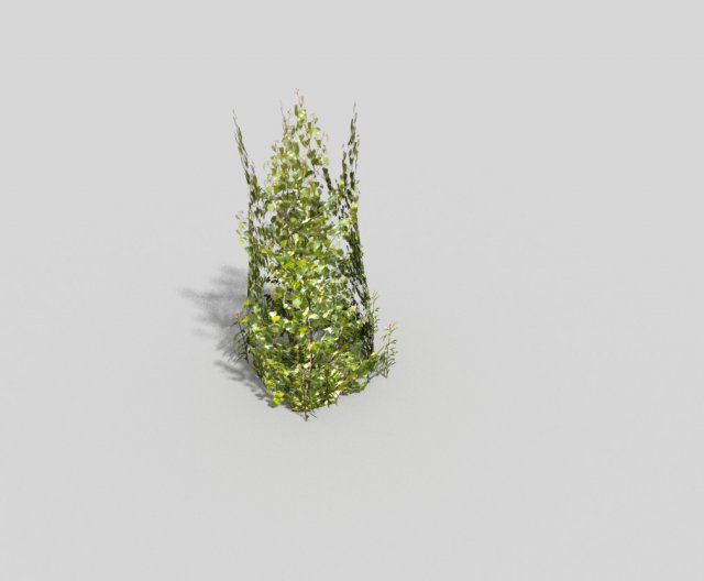 low poly plant 3D 모델 .c4d .max .obj .3ds .fbx .stl .blend 