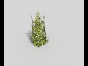 low poly plant 3D 모델