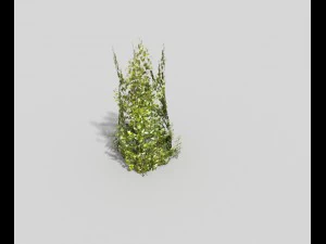 低ポリ植物 3Dモデル