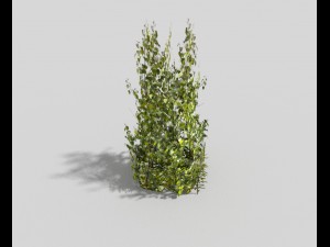 low poly plant 3D 모델