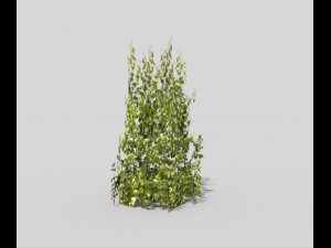low poly plant 3D 모델