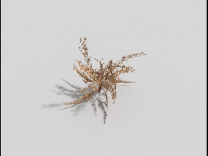 low poly plant 3D Model