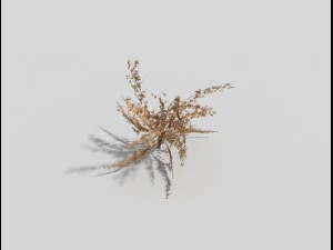 low poly plant 3D Model