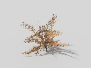 low poly plant 3D Model