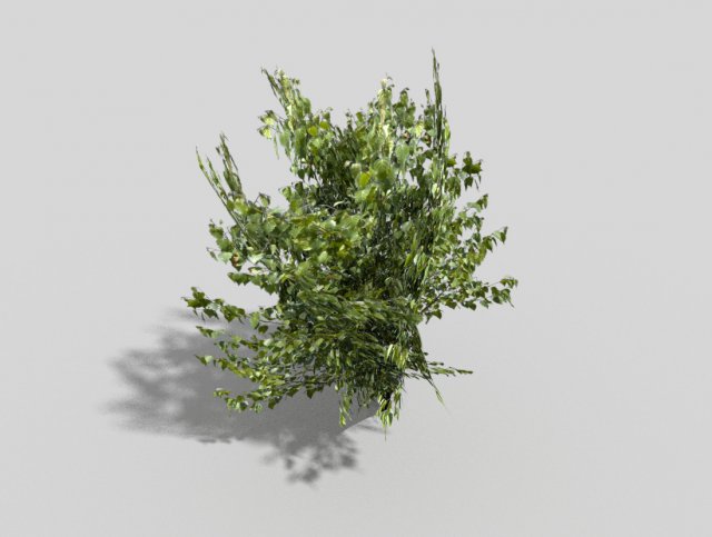 low poly tree 3D 모델 .c4d .max .obj .3ds .fbx .stl .blend 