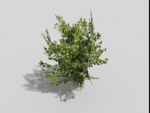low poly tree 3D Model